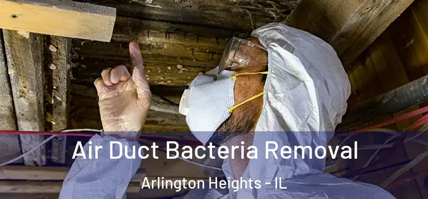 Air Duct Bacteria Removal Arlington Heights - IL