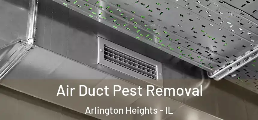 Air Duct Pest Removal Arlington Heights - IL