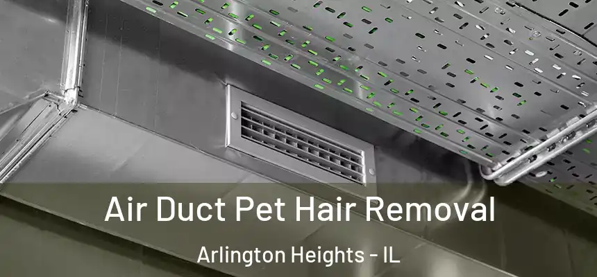 Air Duct Pet Hair Removal Arlington Heights - IL