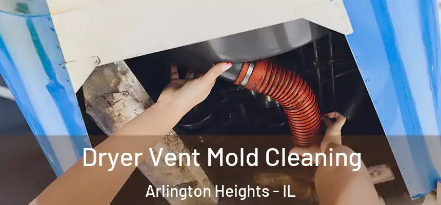  Dryer Vent Mold Cleaning Arlington Heights - IL