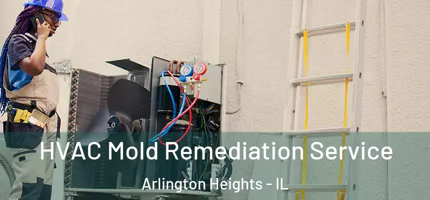  HVAC Mold Remediation Service Arlington Heights - IL