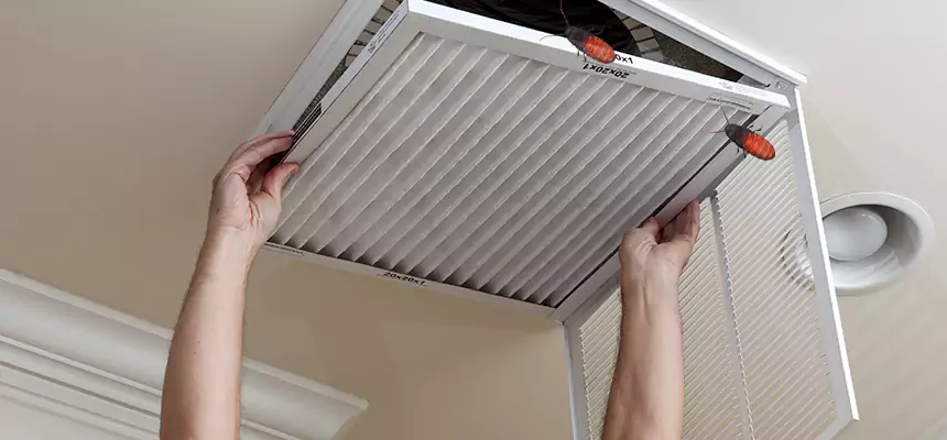 Preventive Cockroach-Proofing for Ducts in Arlington Heights