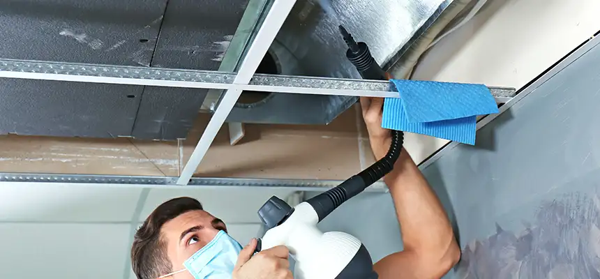 Our Air Duct Rodent Removal Services in Arlington Heights, IL