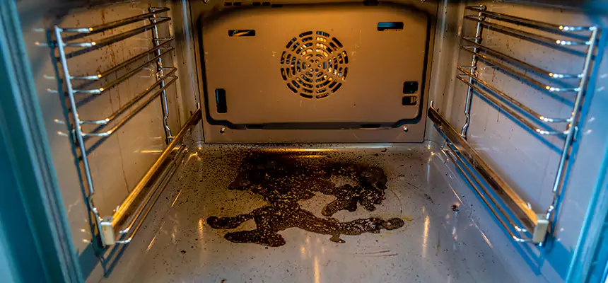 Our Dryer Vent Mold Cleaning Services in Arlington Heights, IL