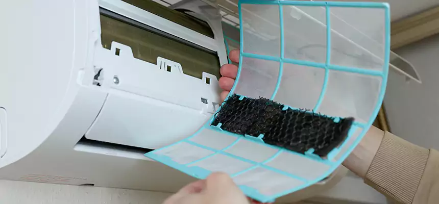 Gentle Ductwork Odor-Control Pet Dander Duct Cleaning in Arlington Heights, IL