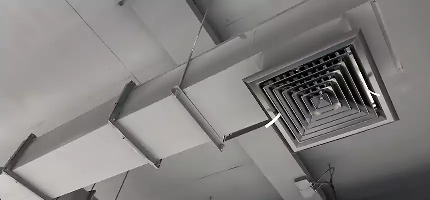 Our Rodent Droppings In Vents Services in Arlington Heights, IL