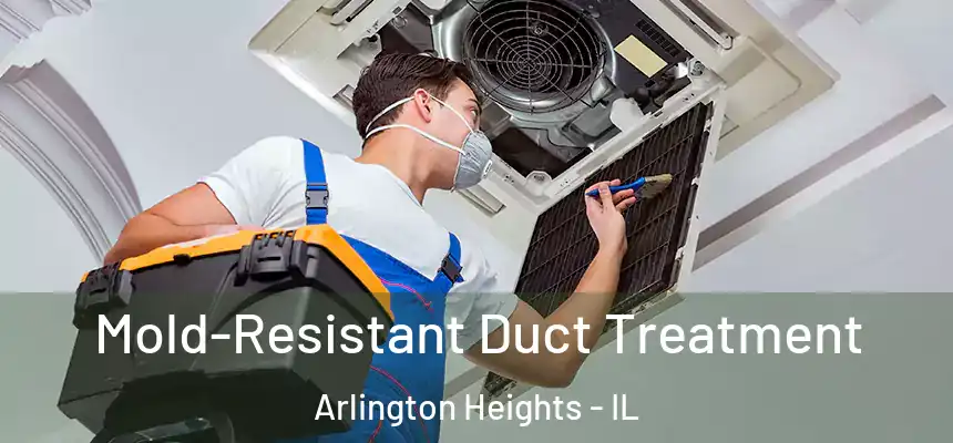 Mold-Resistant Duct Treatment Arlington Heights - IL