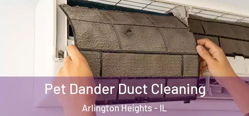  Pet Dander Duct Cleaning Arlington Heights - IL