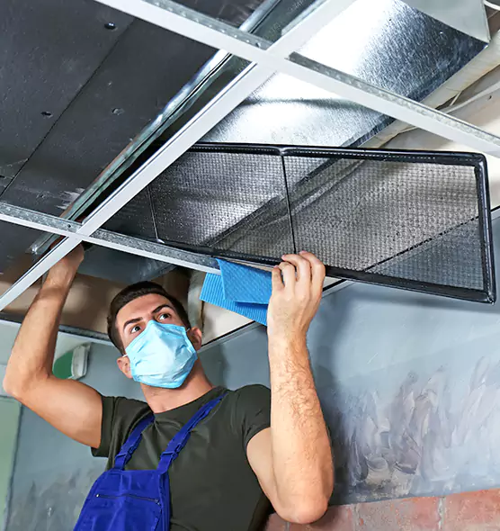 About Air Duct Bacteria Removal in Arlington Heights