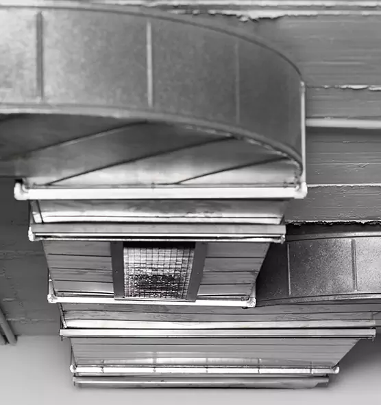 Professional Air Duct Pest Removal in Arlington Heights, IL