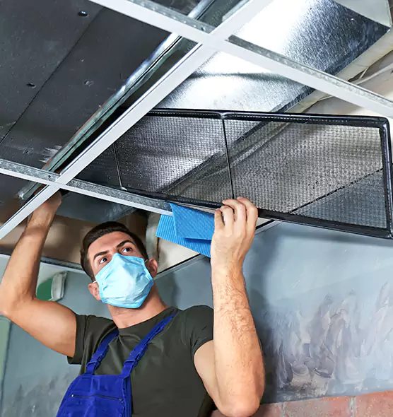 Professional Air Duct Pollen Cleaning in Arlington Heights, IL