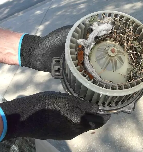 About Air Duct Rat Removal in Arlington Heights, IL