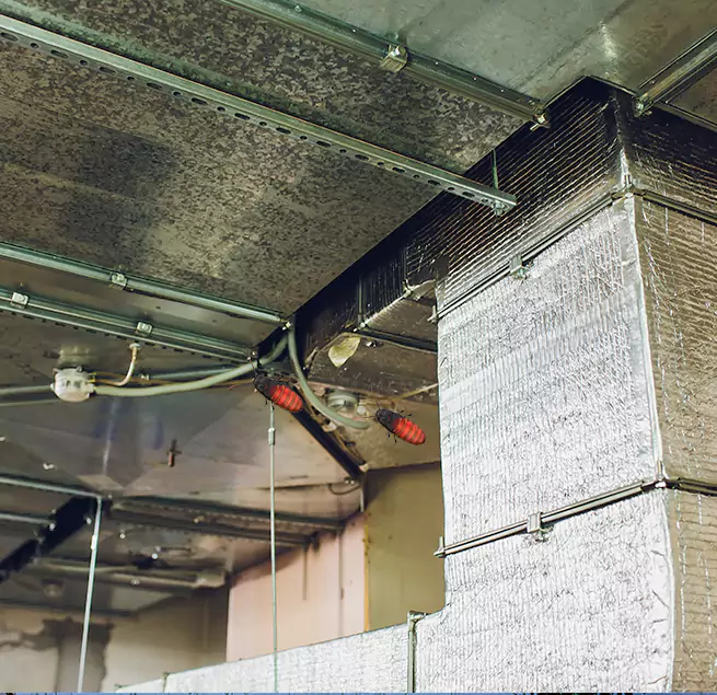 Why Homeowners & Businesses Trust Us in Arlington Heights, IL?