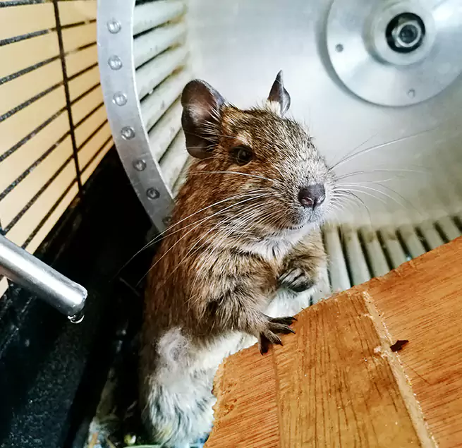 Why Homeowners & Businesses Trust Us Arlington Heights, IL