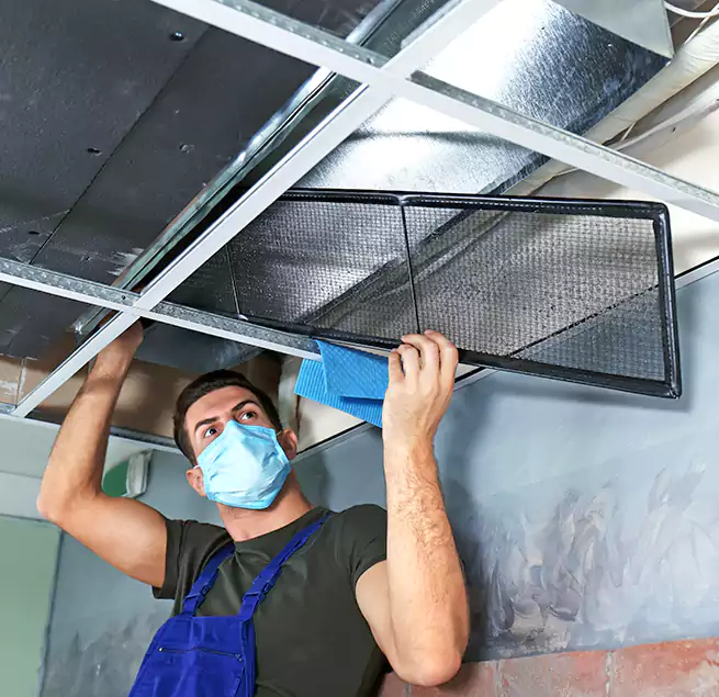 Why Homeowners Businesses Trust Us in Arlington Heights, IL