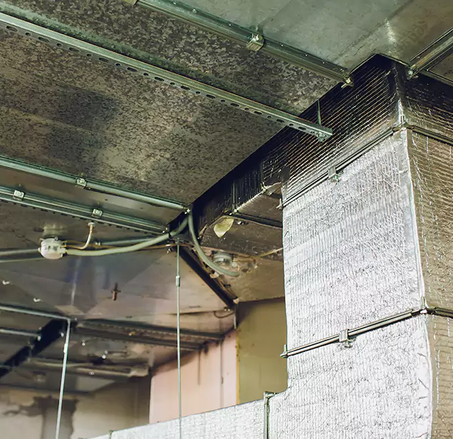 Why Homeowners & Businesses Trust Us in Arlington Heights, IL?